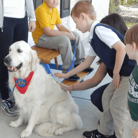 Autism Awareness Month: Accept, Include, Appreciate & Value